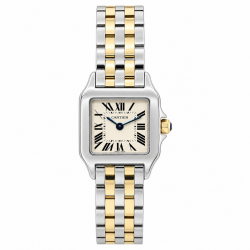 Santos de Cartier Demoiselle 20MM W25066Z6 18K/ Steel Watch